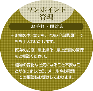 ワンポイント管理(お手軽・即対応)
お庭の木1本でも、1つの「管理項目」でもお手入れいたします。
既存のお庭・屋上緑化・屋上庭園の管理もご相談ください。
植物の変化など気になること不安なことがありましたら、メールやお電話での相談もお受けしております。