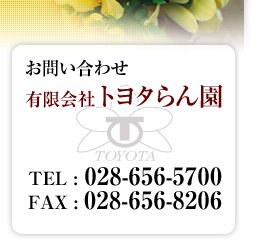 お問い合わせ　有限会社トヨタらん園　TEL:028-656-5700　FAX：028-656-8206