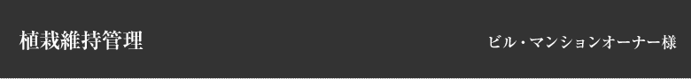 植栽維持管理　ビル・マンションオーナー様